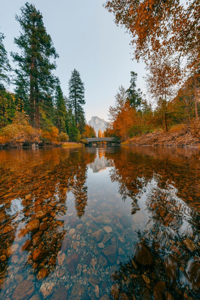 Tranquil autumn landscape with a river and reflection in Yosemite National Park.